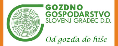 GG Slovenj Gradec